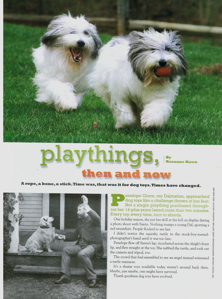 history of dog toys graphic