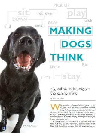 making dogs think graphic