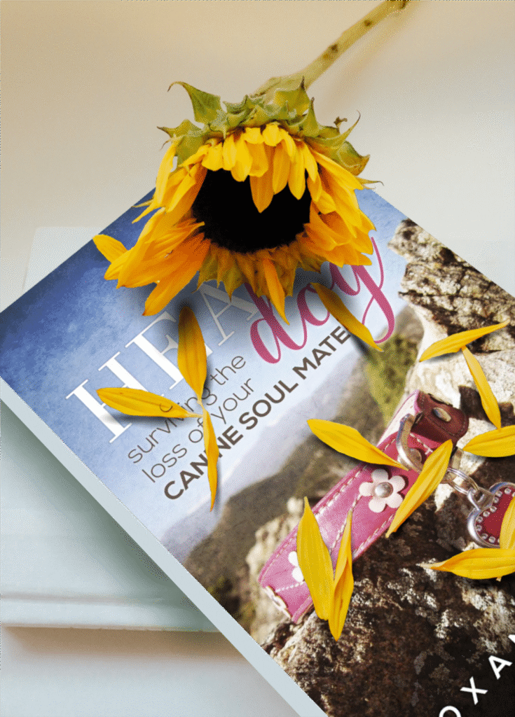 Heart Dog Surviving the Loss of Your Canine Soul Mate by Roxanne Hawn

Books by Roxanne Hawn

Book with sunflower on top